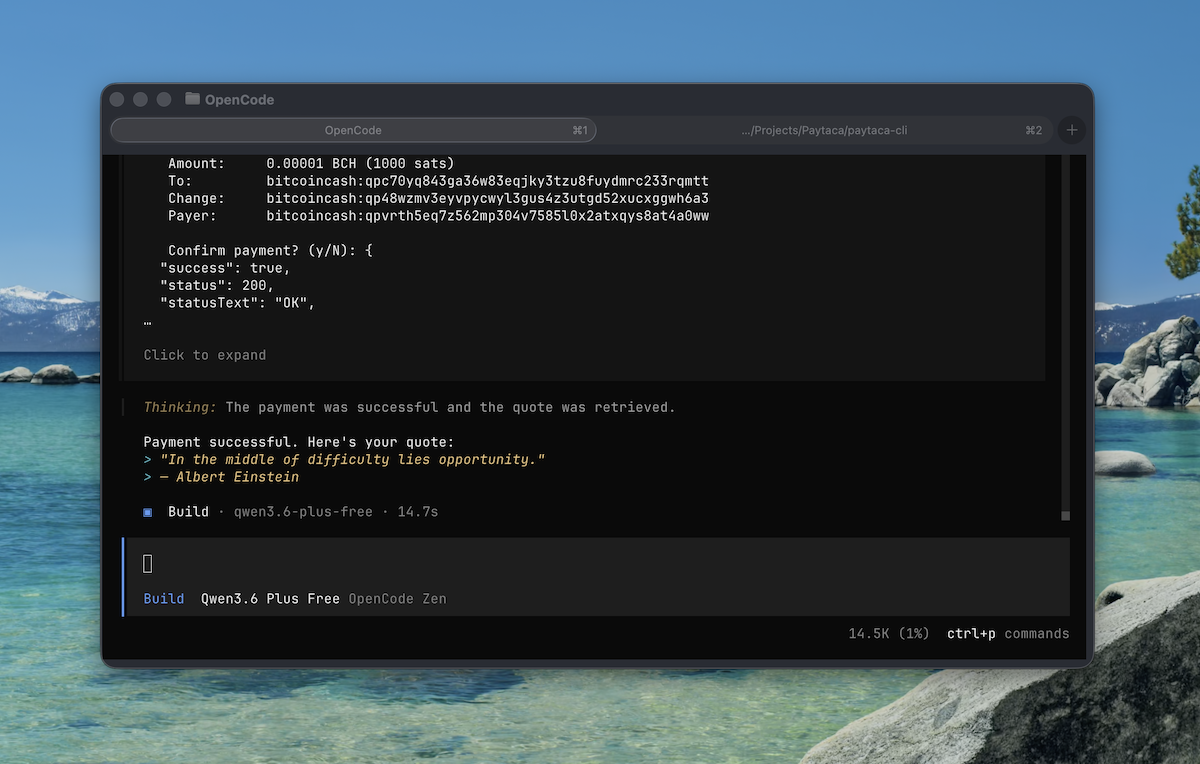 Paytaca CLI: The Ultimate Bitcoin Cash Wallet for AI Agents